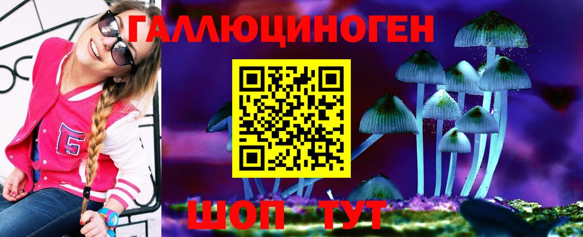 Избербаш  Псилоцибиновые грибы GOLDEN TEACHER  Вход с VPN 