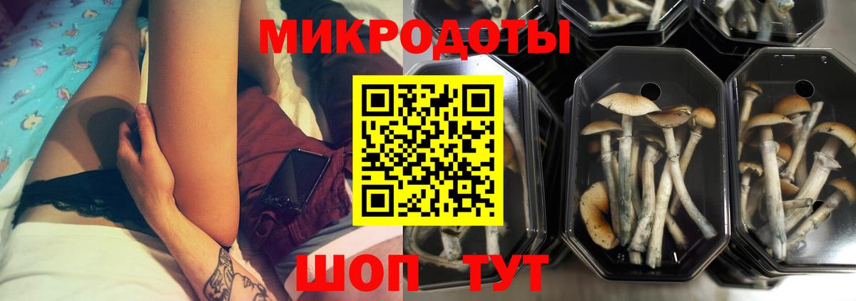 Псилоцибиновые грибы GOLDEN TEACHER Избербаш
